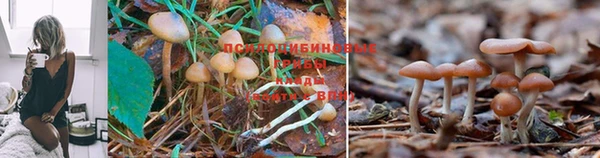 ALPHA-PVP Алексеевка