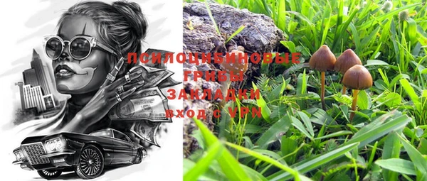 шишки Алзамай