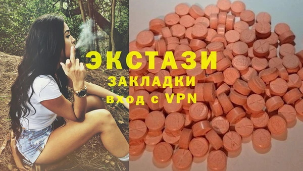 шишки Алзамай
