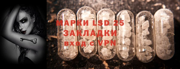 шишки Алзамай