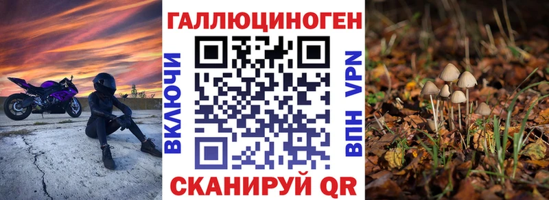 Галлюциногенные грибы мицелий закладки Моздок