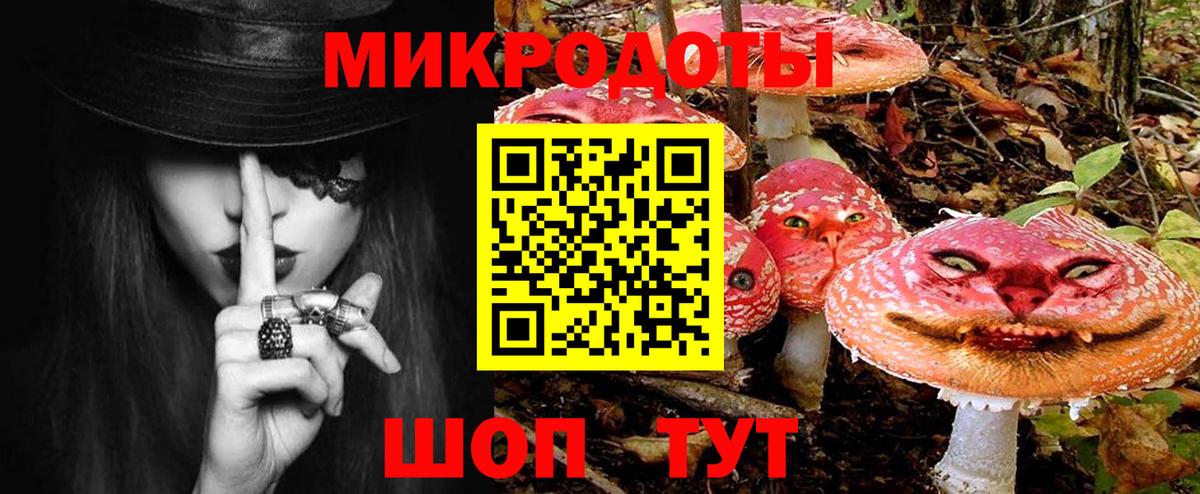 Псилоцибиновые грибы GOLDEN TEACHER Моздок