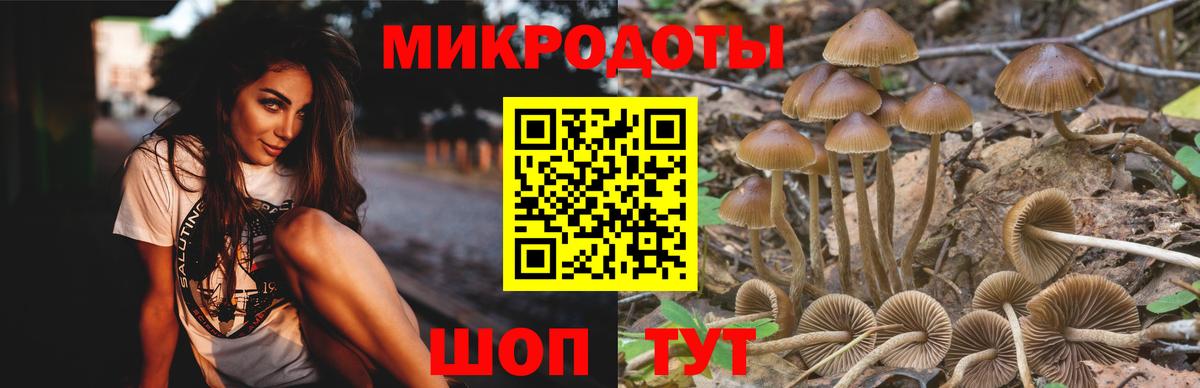 Моздок  Галлюциногенные грибы Psilocybine cubensis  Вход с VPN 